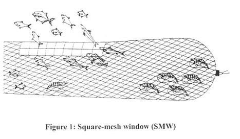 w9032e01.jpg (31768 byte)