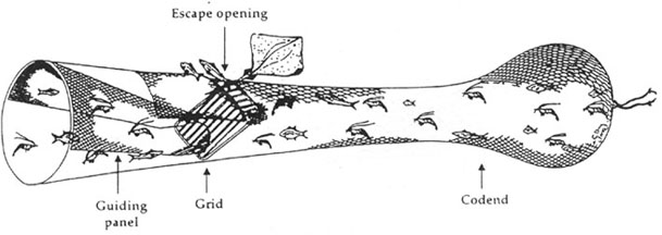 w9032e04.jpg (28205 byte)