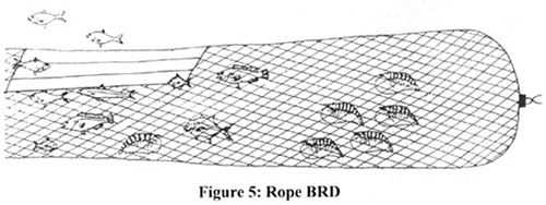 w9032e05.jpg (29881 byte)