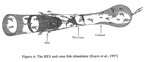 w9032e06.jpg (30449 byte)