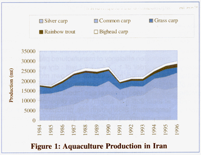 E9.jpg (103599 byte)