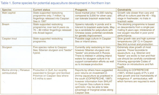 MF7.jpg (331127 byte)