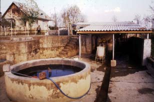 Untitled-1.JPG (19494 byte)