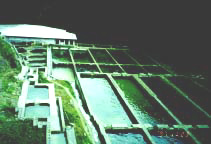 rainbow.JPG (8103 byte)