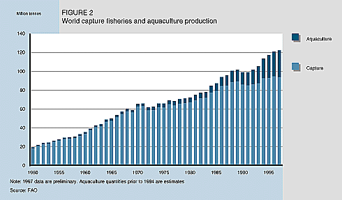 W9900e05.GIF (22846 bytes)