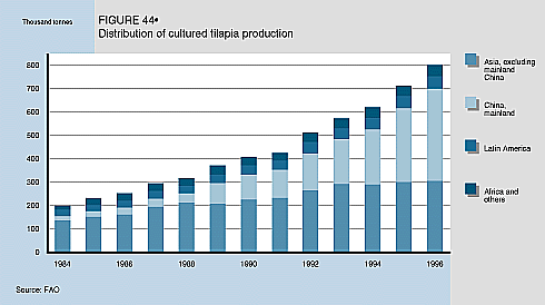 W9900e48.GIF (19583 bytes)