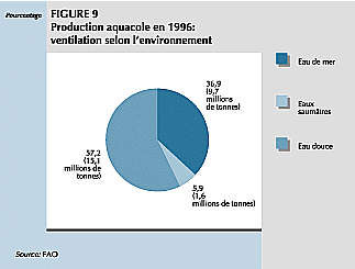 W9900f12.GIF (12436 bytes)