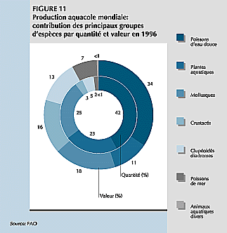 W9900f14.GIF (20180 bytes)