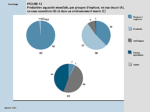 W9900f16.GIF (19272 bytes)
