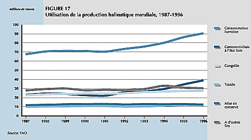 W9900f21.GIF (21221 bytes)