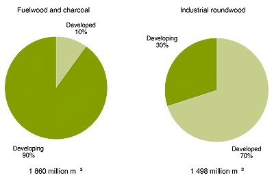 w9950e05.GIF (8708 bytes)