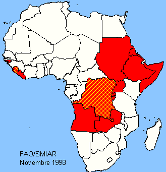 Afrique