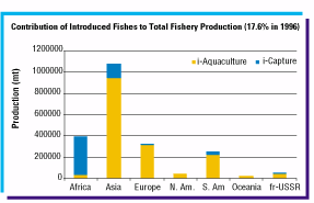 pag16-2.gif (5217 byte)