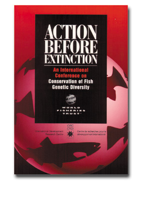 action.jpg (78459 byte)