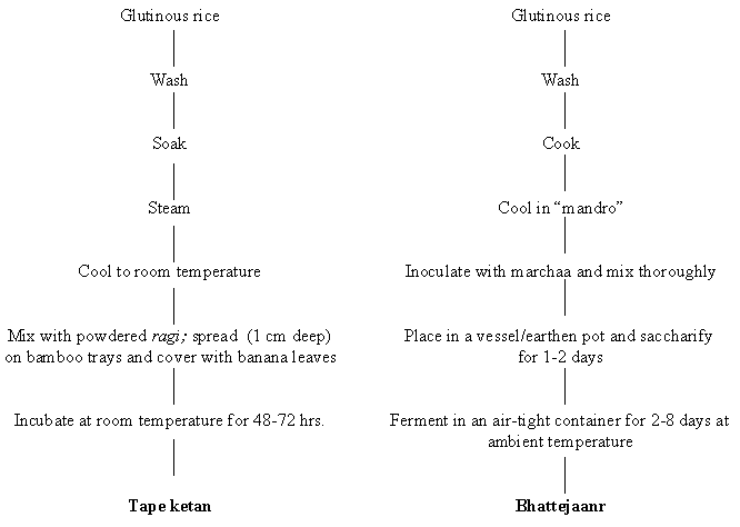Flow chart for the manufacture of Indonesian  tape ketan and Indian Bhattejaanr 