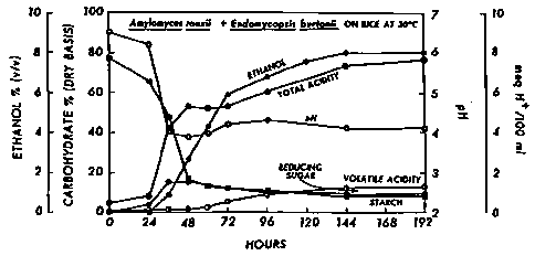 Biochemical changes occurring in tape ketan fermentation