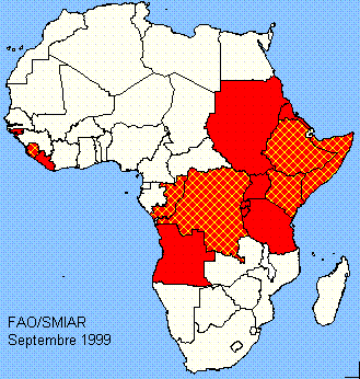 Afrique