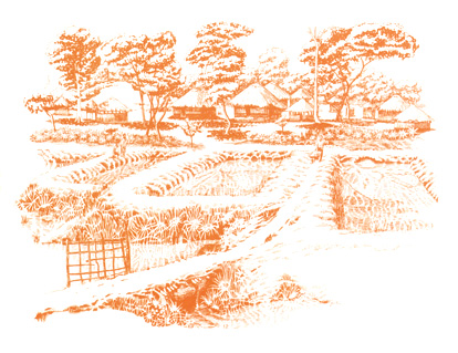 15-1.jpg (96006 byte)