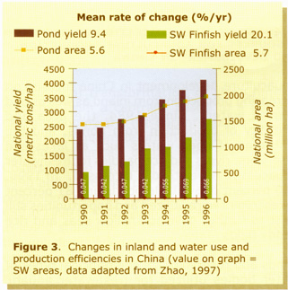 19-1.jpg (69163 byte)