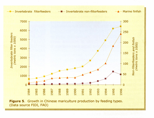 20-2.jpg (87506 byte)