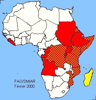 Afrique