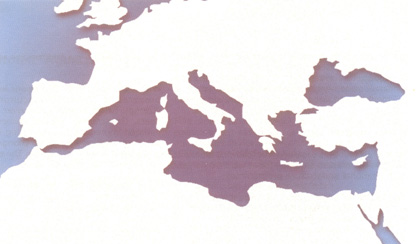 pag42.jpg (31498 byte)