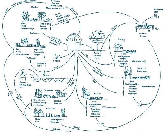 randall.JPG (56045 byte)