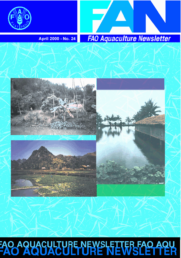 cover1.gif (171927 byte)