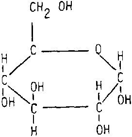 X5164f2C.GIF (1928 bytes)