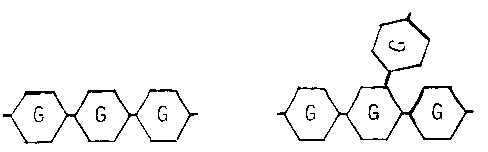 X5164f2D.GIF (1741 bytes)