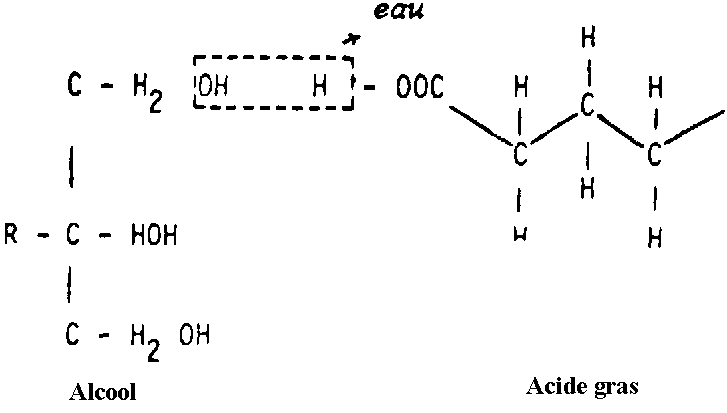 X5164f2E.GIF (4068 bytes)