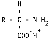 X5164f2G.GIF (908 bytes)