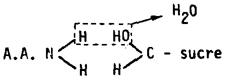 X5164f2H.GIF (1737 bytes)