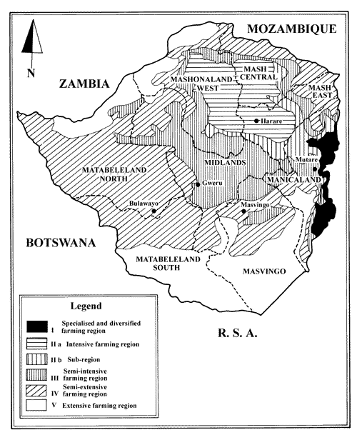 Zimbabw1.GIF (38822 bytes)