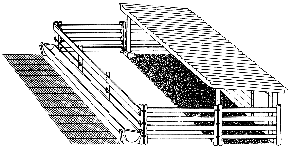 open yard housing for young cattle