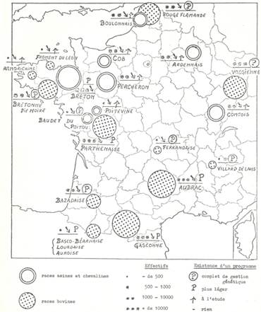 animal genetic resources
conservation and management