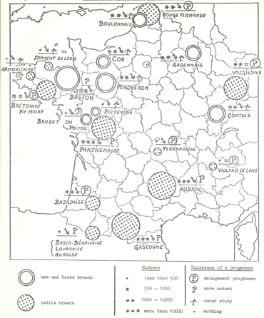 animal genetic resources
conservation and management
