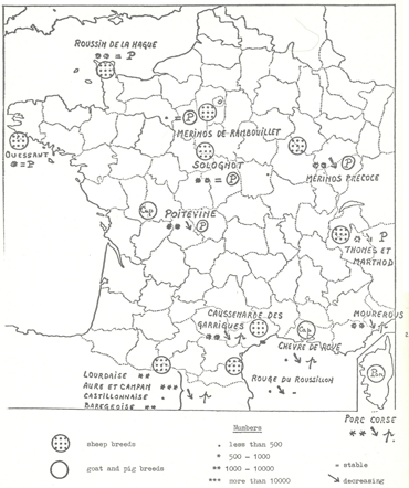 animal genetic resources
conservation and management