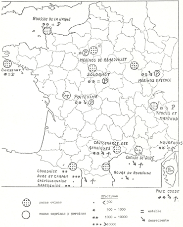 animal genetic resources
conservation and management