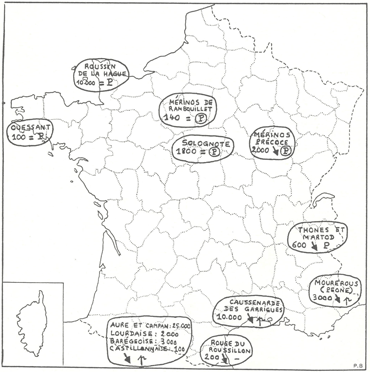 animal genetic resources
conservation and management