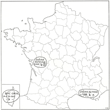 animal genetic resources
conservation and management