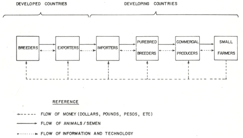 animal genetic resources
conservation and management