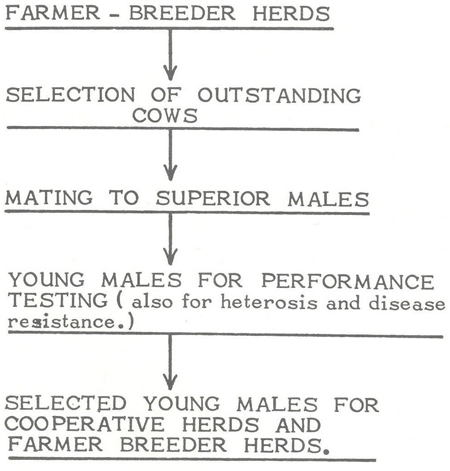 animal genetic resources
conservation and management