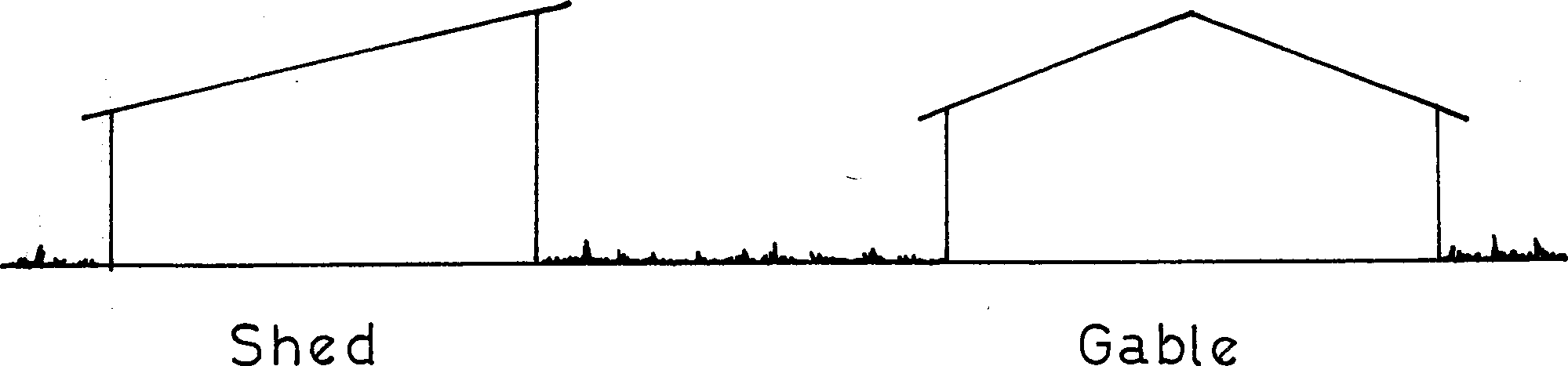intensive sheep production in the near east