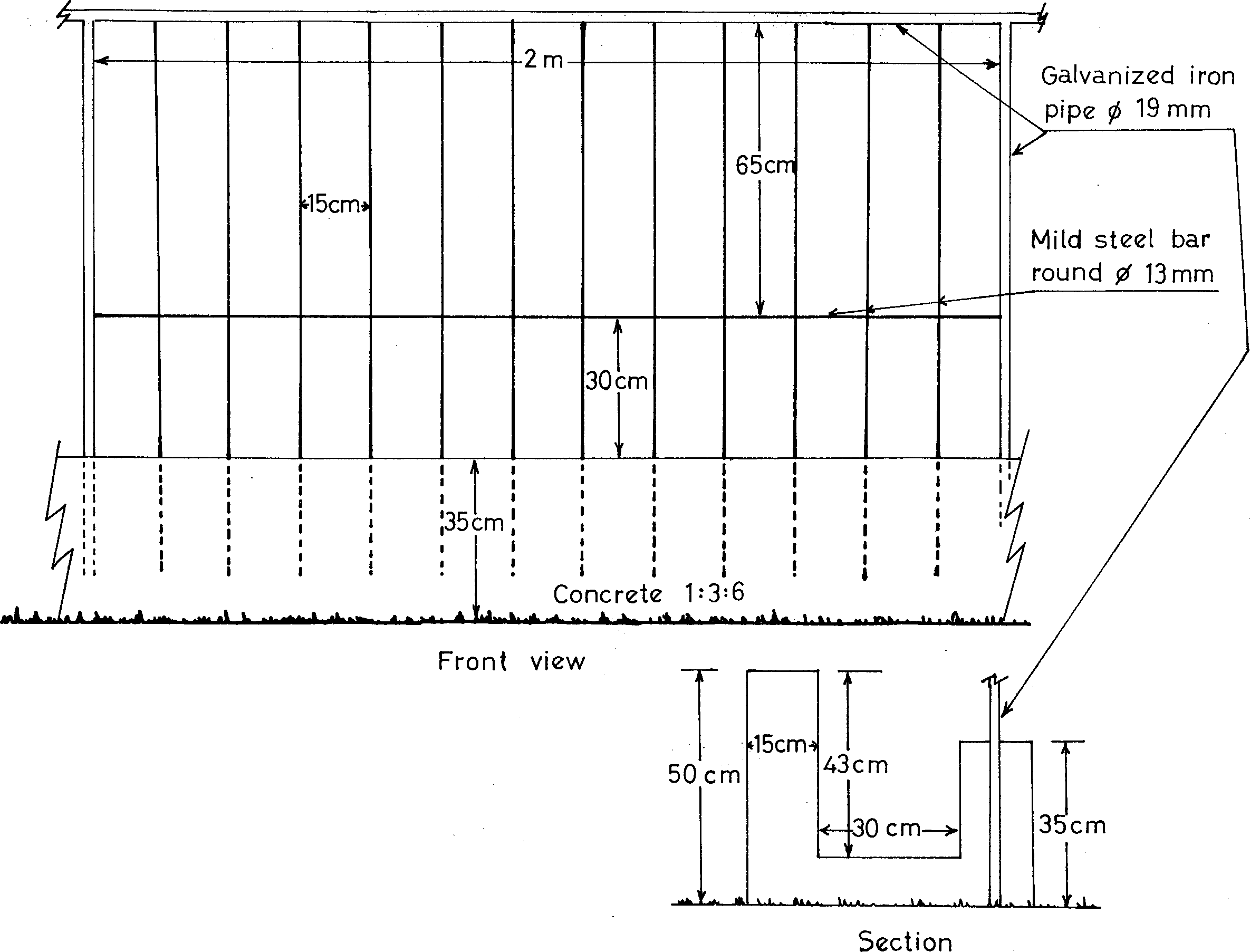 intensive sheep production in the near east