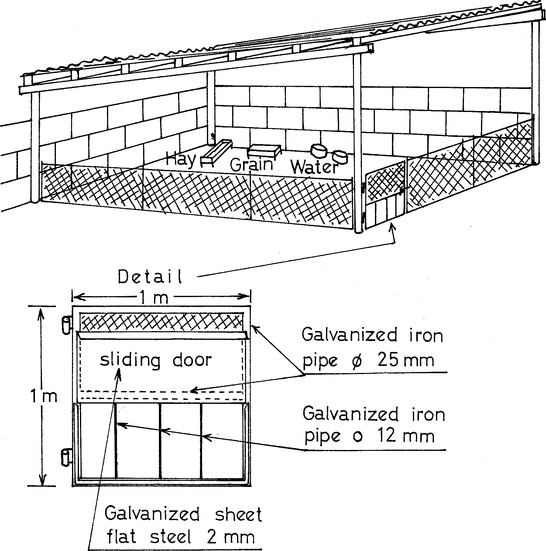 intensive sheep production in the near east