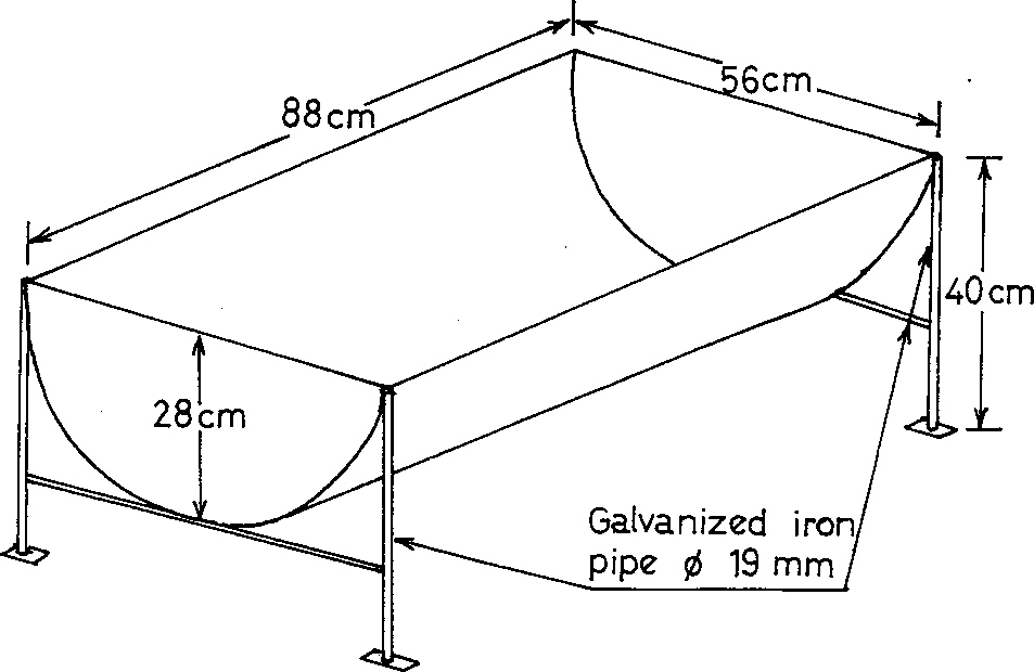 intensive sheep production in the near east