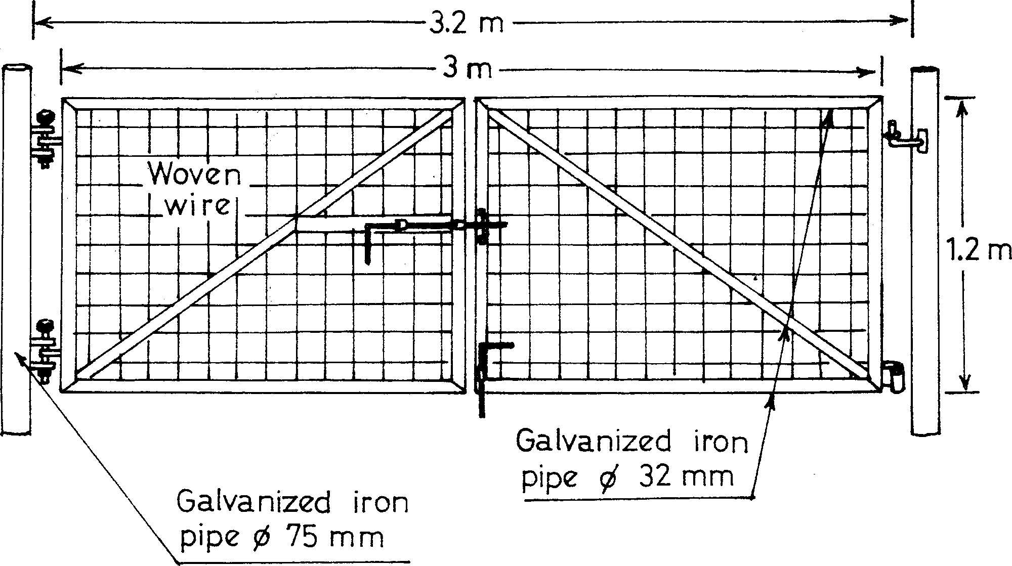 intensive sheep production in the near east