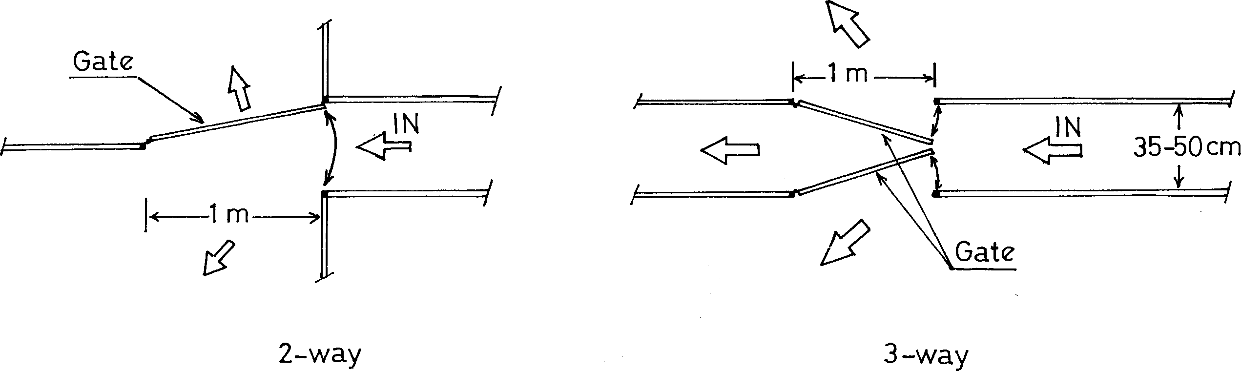 intensive sheep production in the near east
