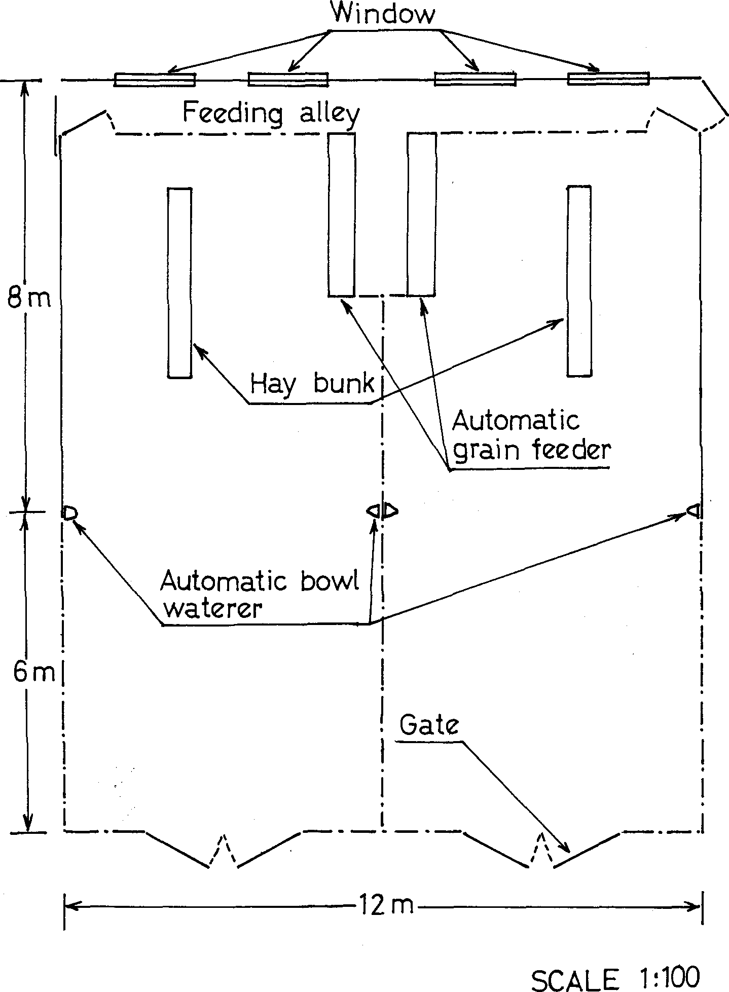 intensive sheep production in the near east